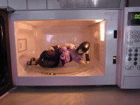 microwave