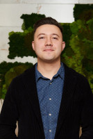 Доміно